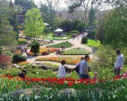 It is divided into five parts which are RBG Centre, Hendrie Park, Laking Garden, The Arboretum, and the  David Braley and Nancy Gordon Rock Garden.